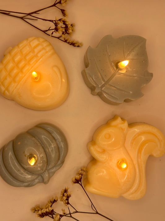 Set Velas del Bosque