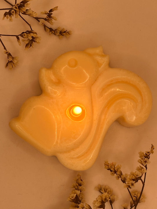 Set Velas del Bosque