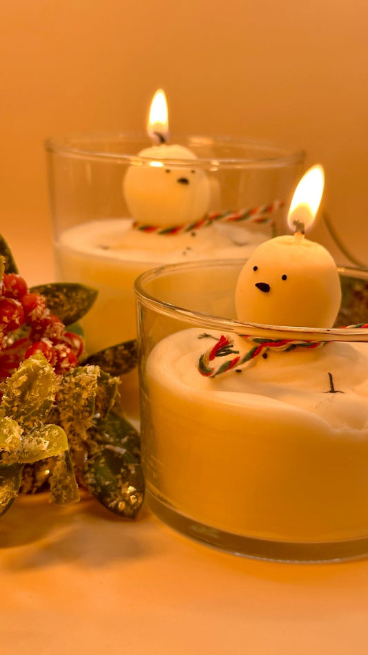 ⛄ Muñeco de Nieve en Tarro